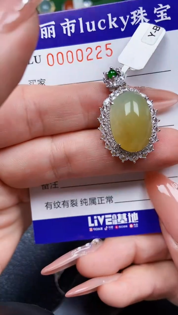 【闪购商品】翡翠颈饰银S925镶嵌0225