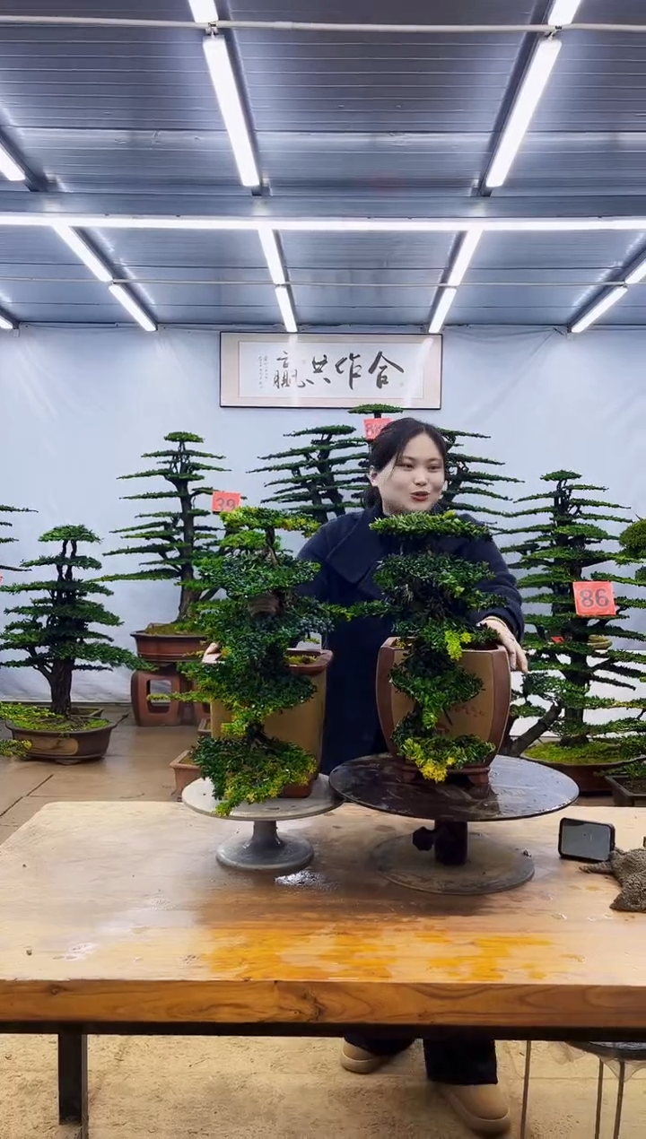 无花朵一物一拍，所见即所得