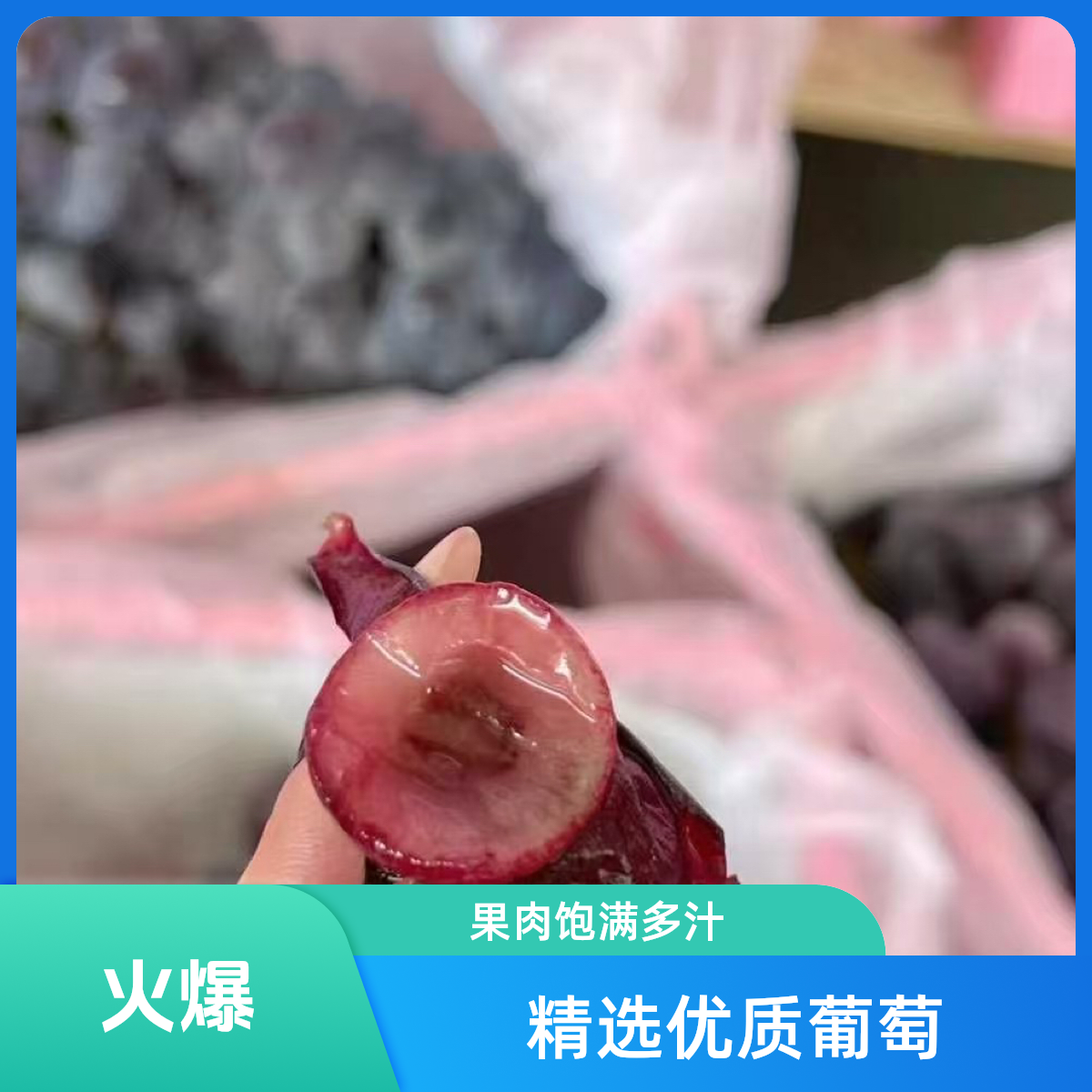 老黄果业蓝莓葡萄2斤广东省