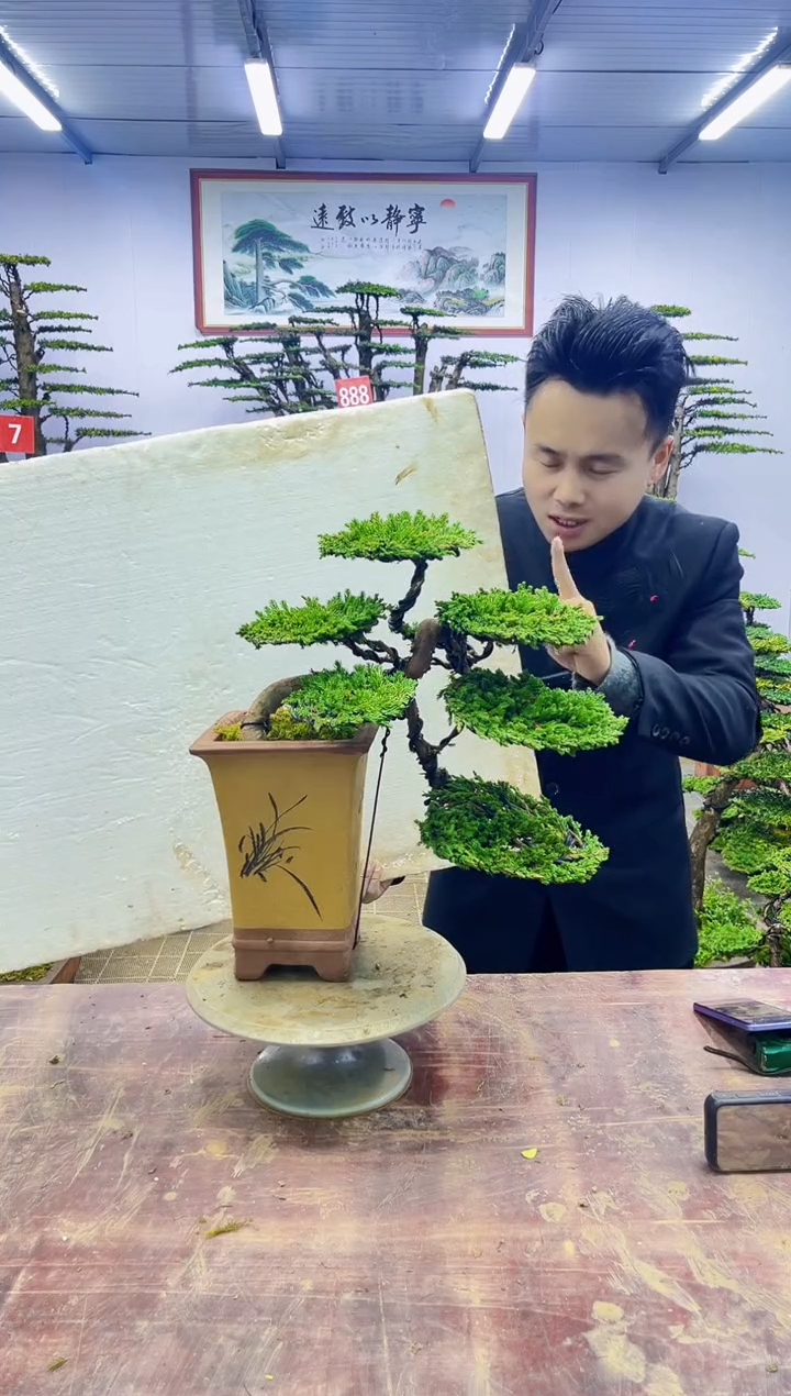 【闪购商品】一物一拍，所见即所得