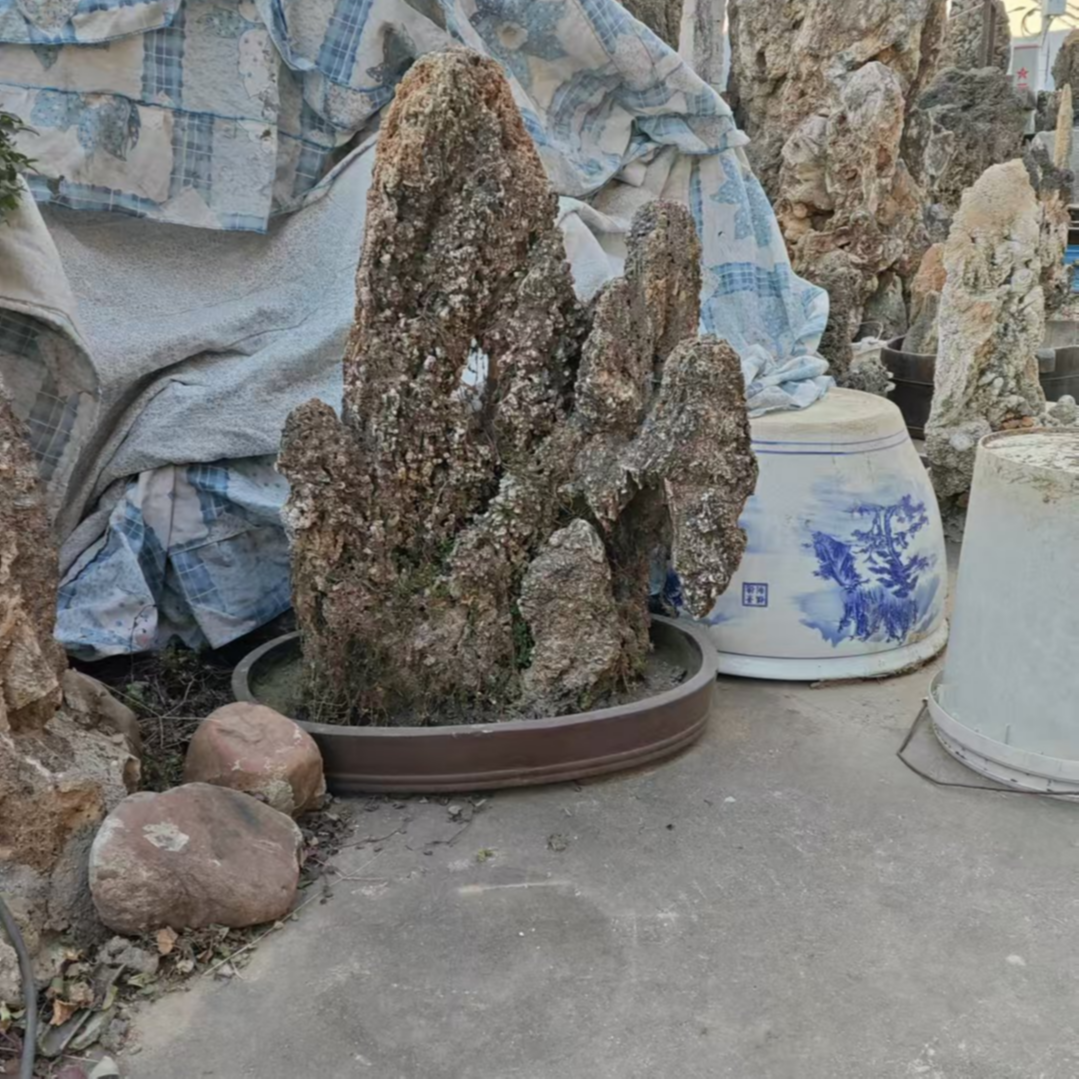 精品园林园艺芦管石盆栽