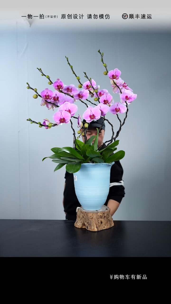 【闪购商品】056号链接【一物一拍】艺术盆景