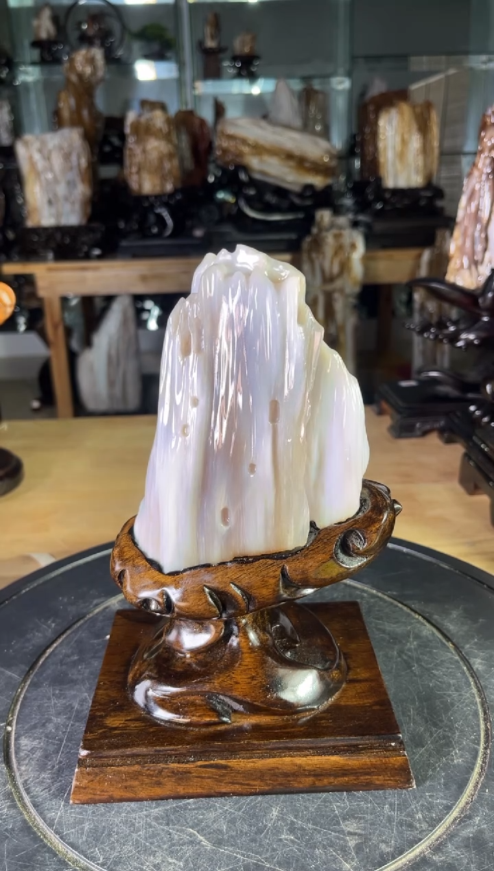 【闪购商品】硅化玉珠宝奇石未镶嵌1