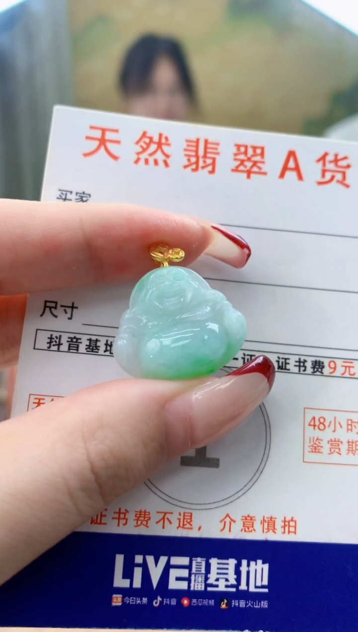 颈饰未镶嵌翡翠天然A货翡翠挂件