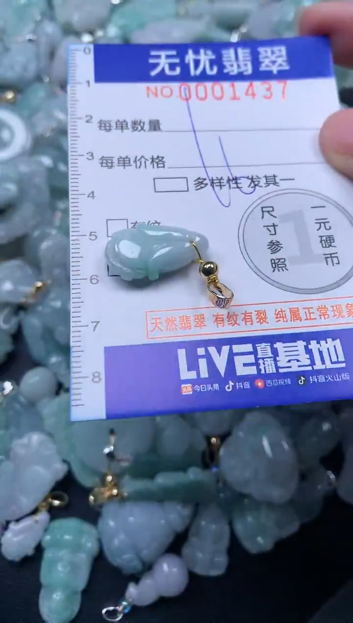 颈饰未镶嵌翡翠1437