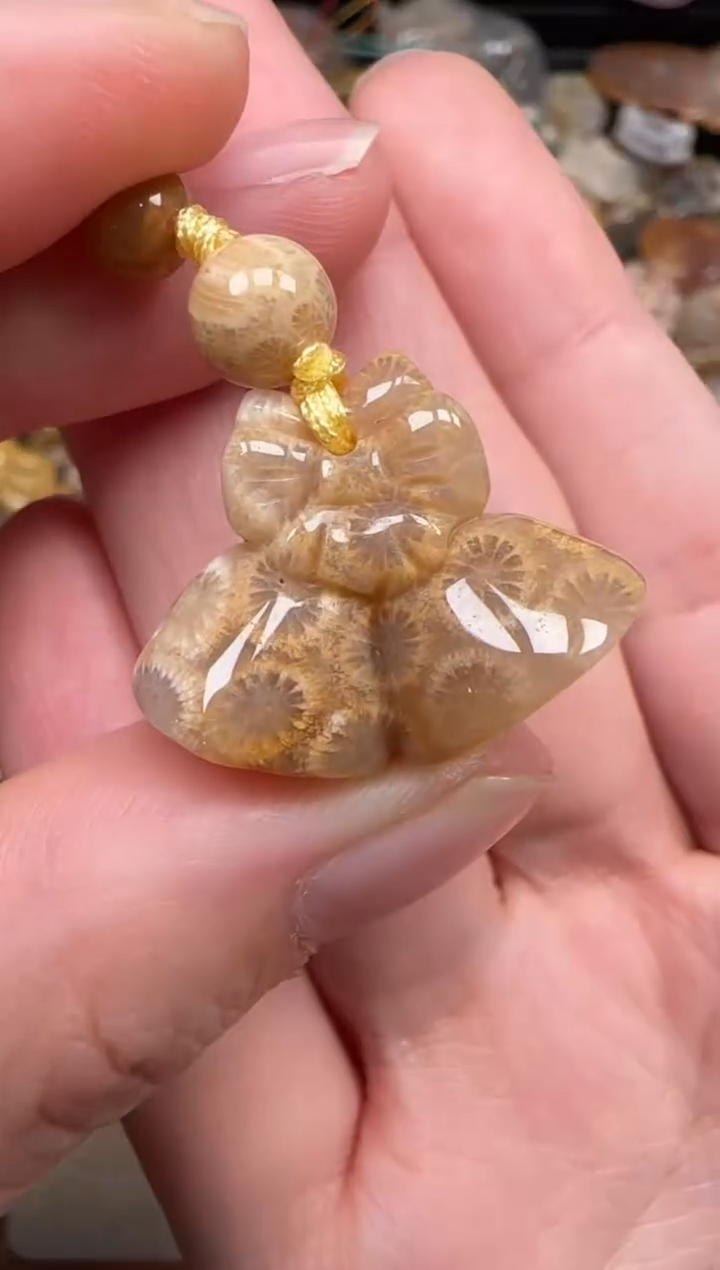 硅化珊瑚（珊瑚玉）未镶嵌颈饰568