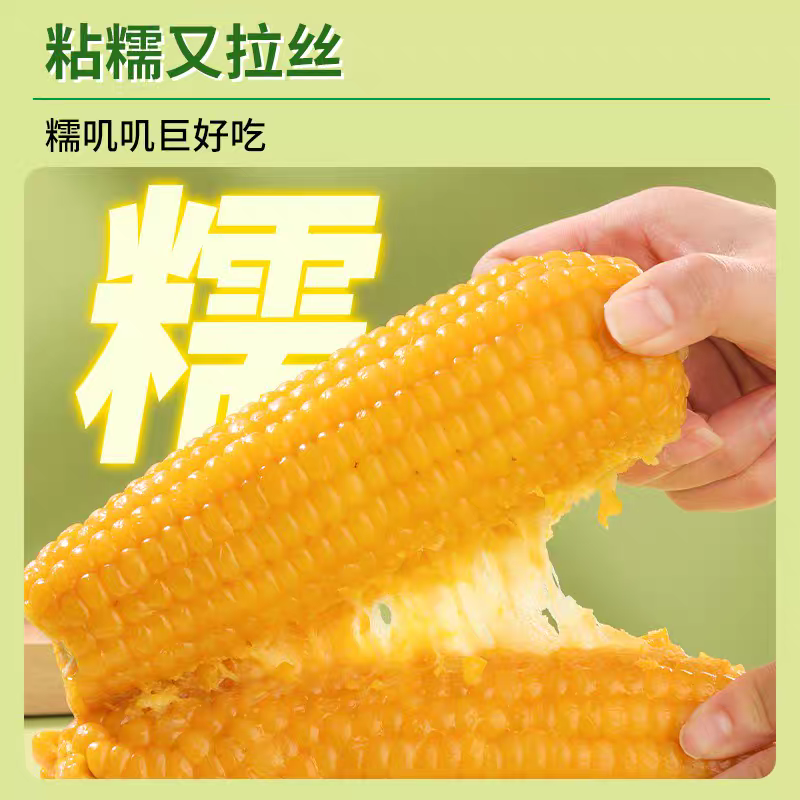 【试吃两根】25年头茬黄糯大棒玉米真空独立包装