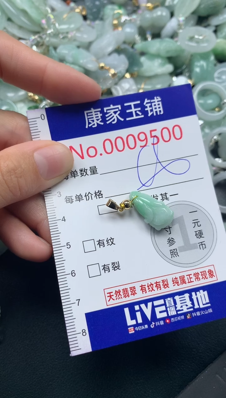 颈饰未镶嵌翡翠9500