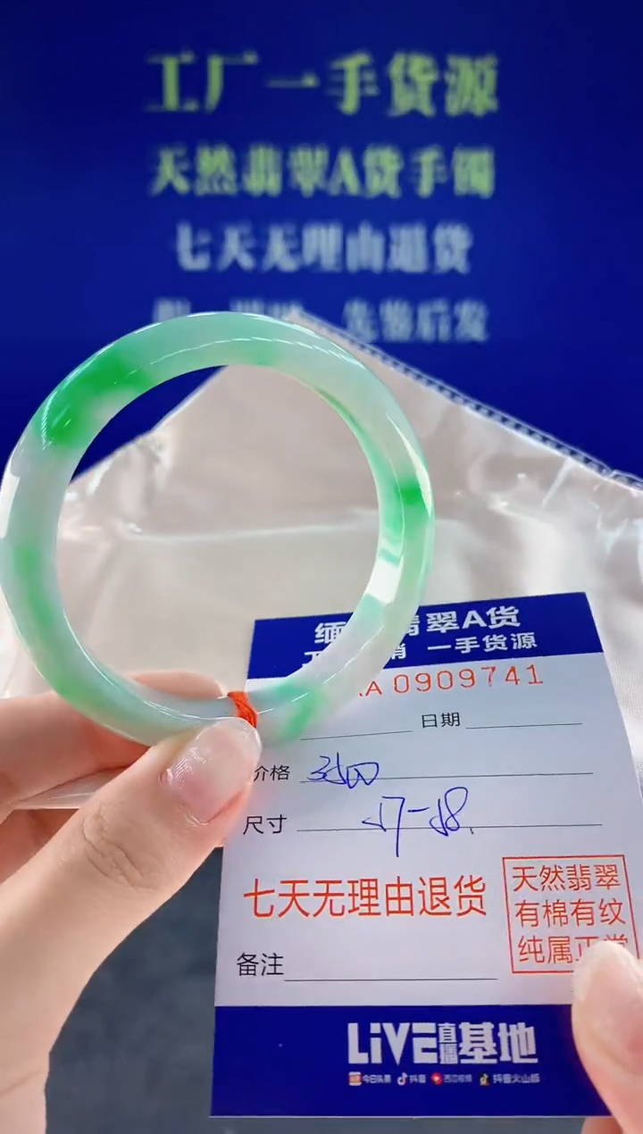 未镶嵌手镯翡翠41