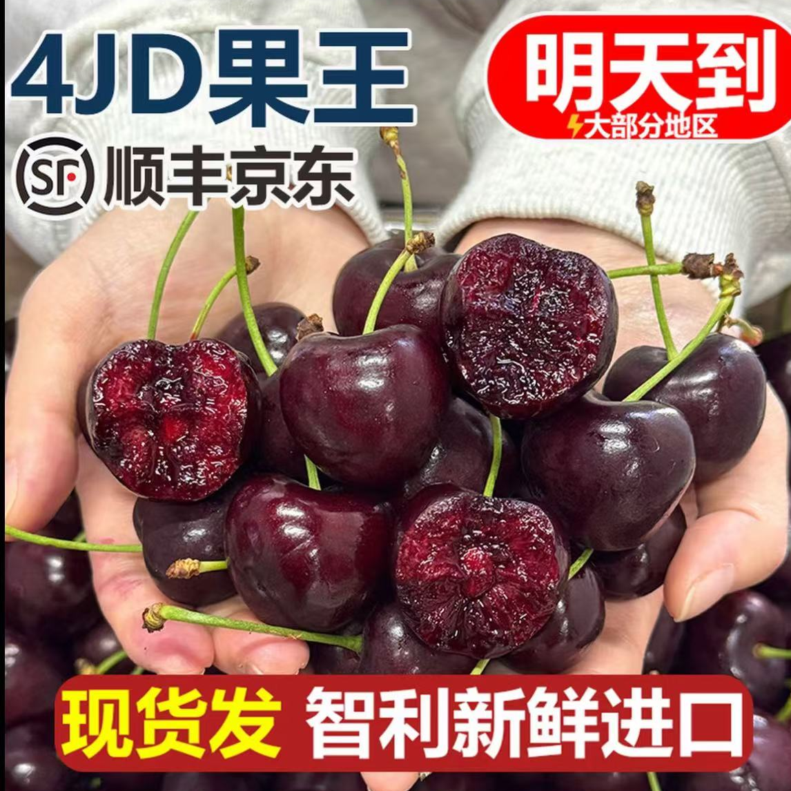 4JDD智利进口空运桑提娜车厘子【顺丰/京东明天到】净重5斤/800g 内附果径卡 桑提娜樱桃智利共和国