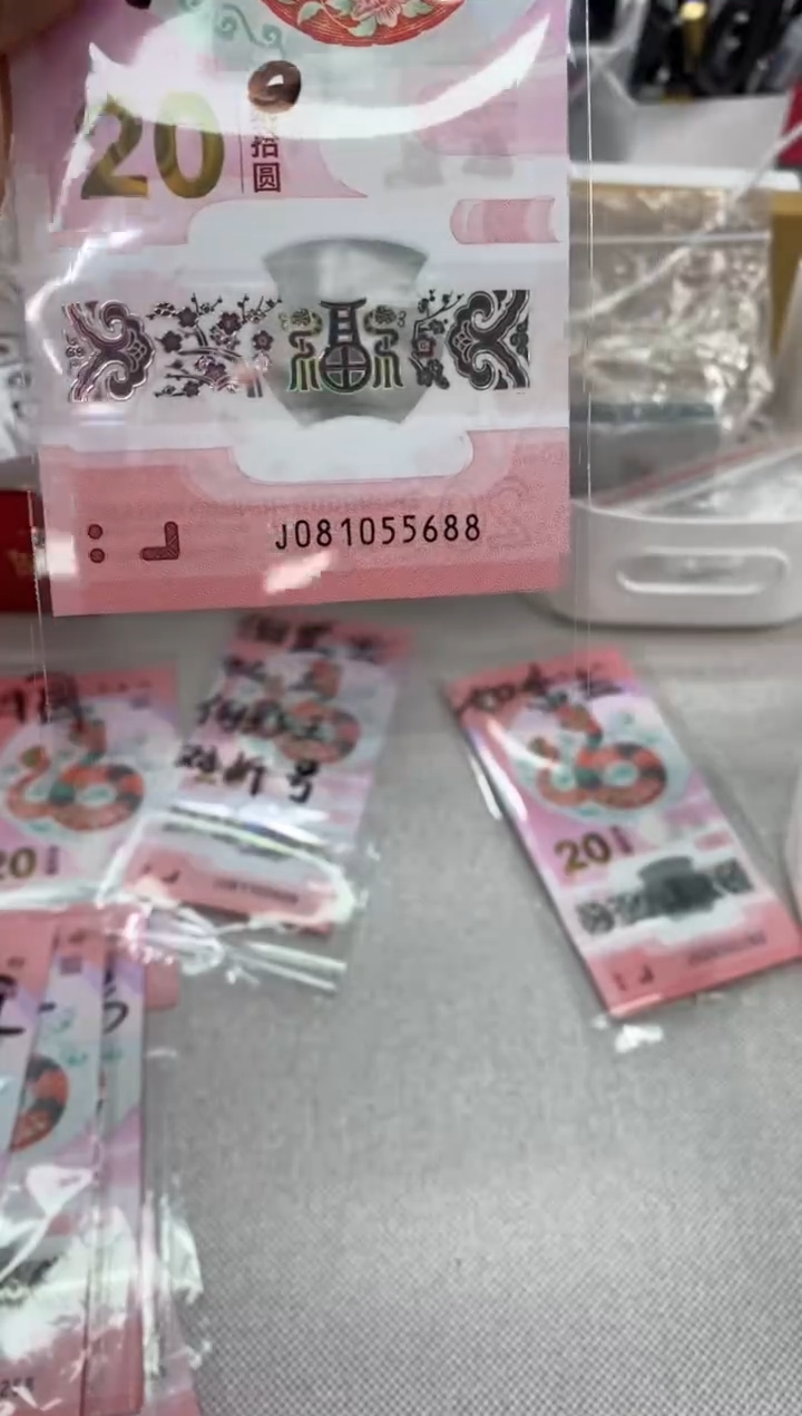 【闪购商品】塑料蛇钞一张081055688