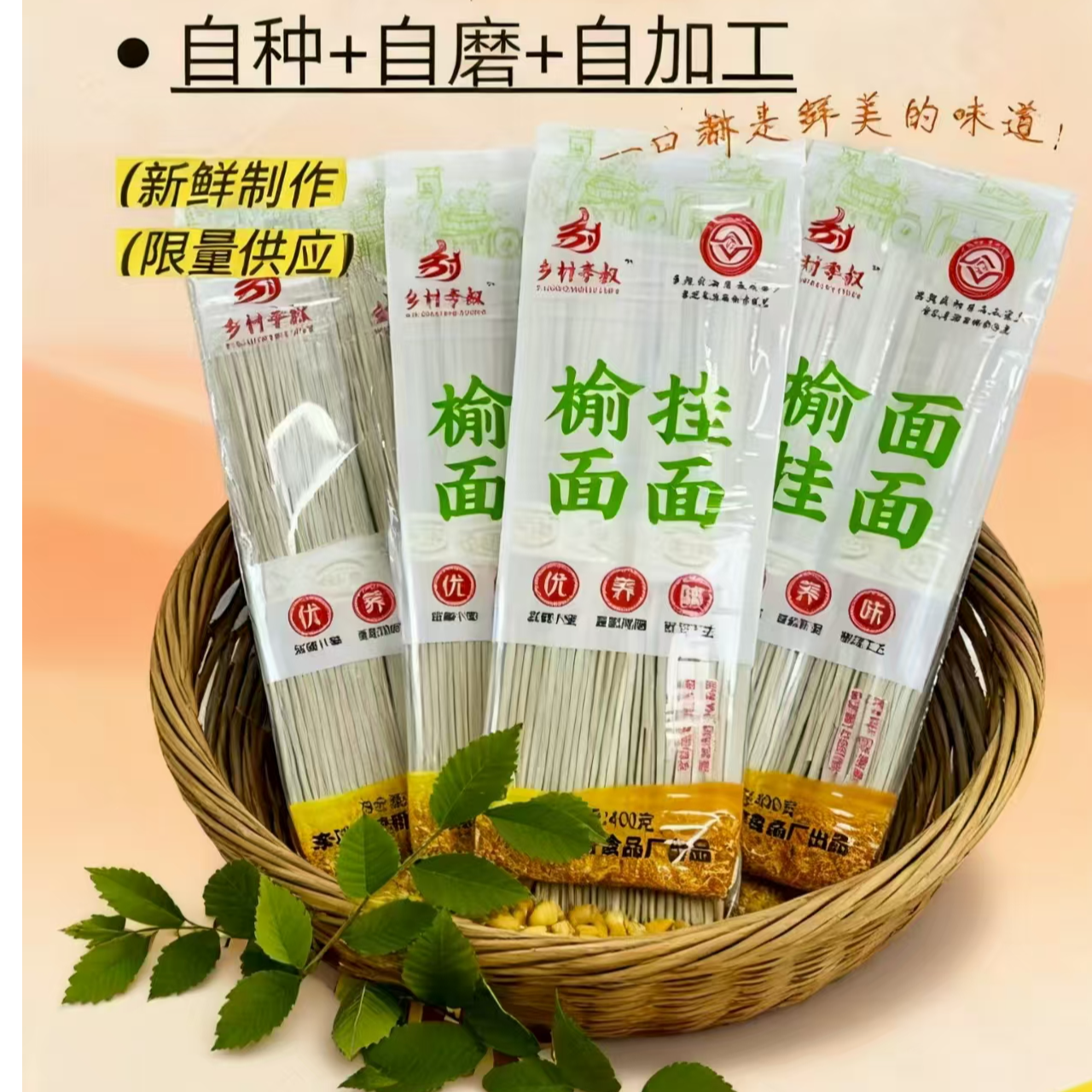 乡村李叔榆树叶面