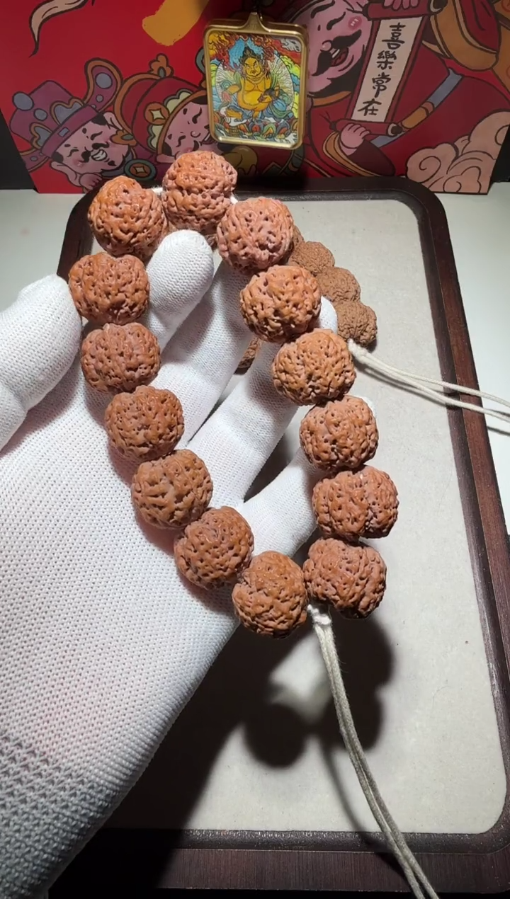 【闪购商品】金刚菩提手串超头针孔粗筋小五星双龙22