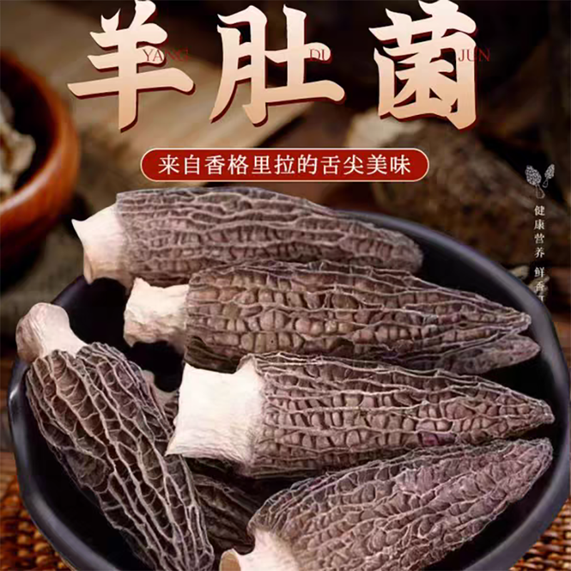 【迷你菌】云南高山羊肚菌干货肉厚饱满香味足营养滋补炖汤佳品