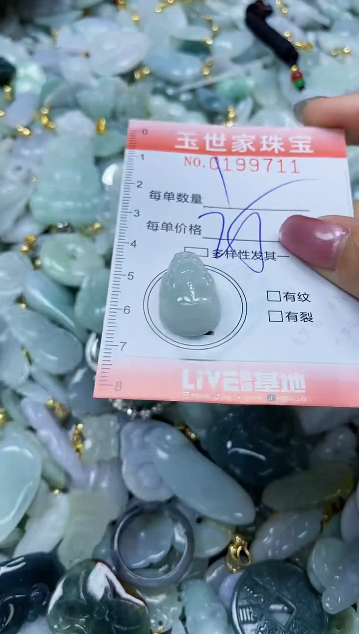 【闪购商品】翡翠颈饰未镶嵌闪购0199711