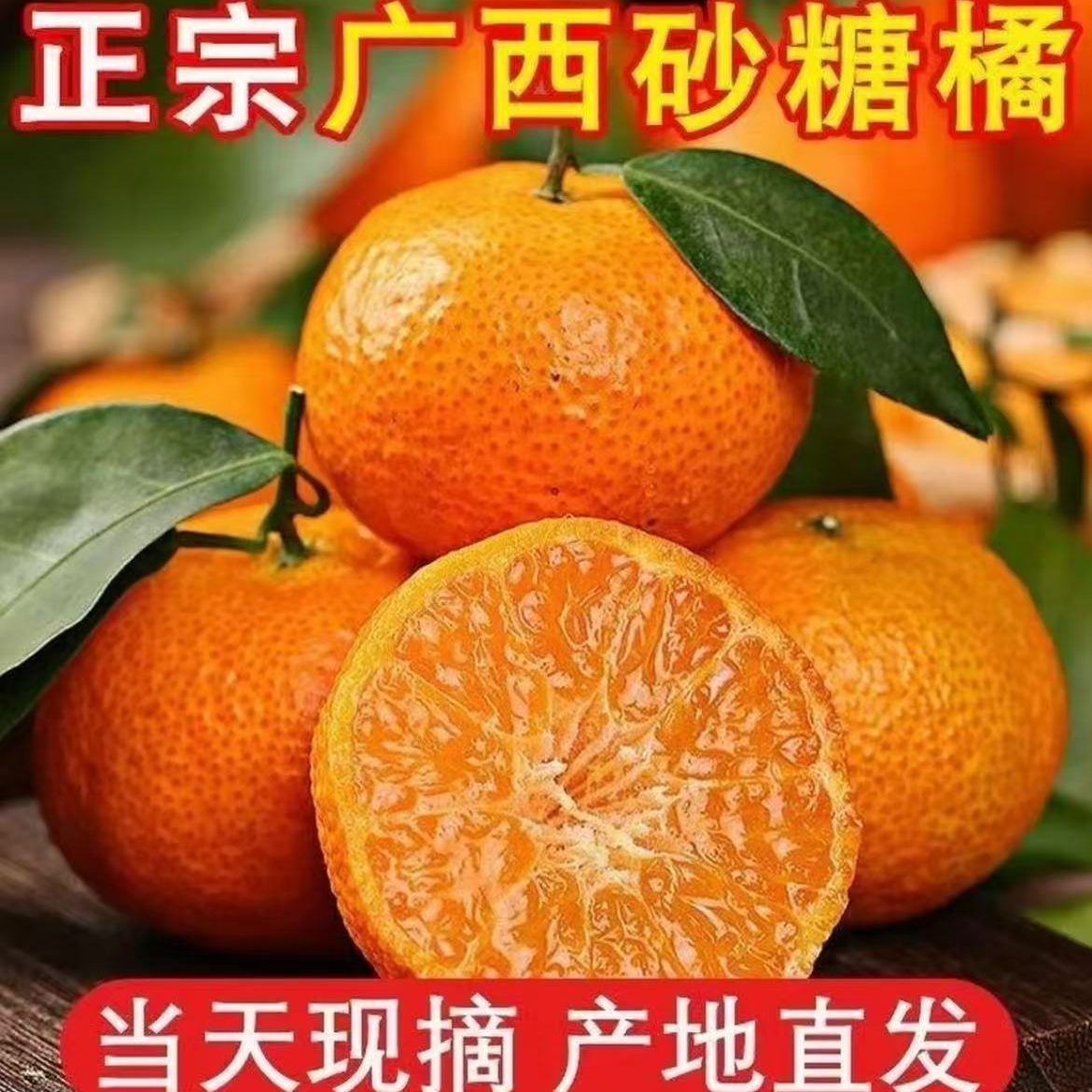 正宗广西砂糖桔现采现发应季小橘子砂糖橘