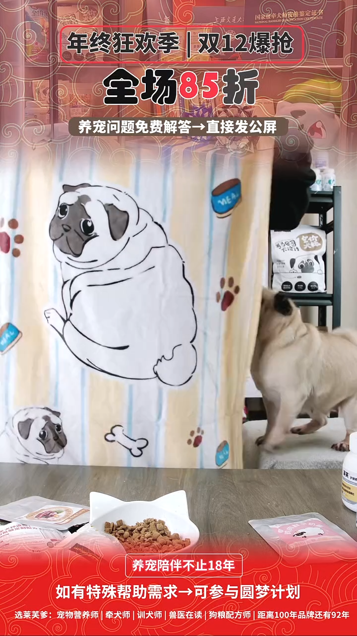 毛巾巴哥可爱小毛毯