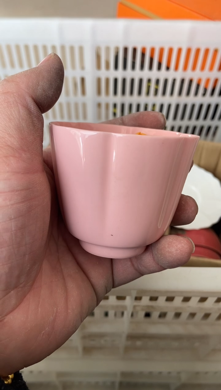 杯子瓷无运费险有瑕疵的摄影的产品有使用过的痕迹有点脏介意勿拍