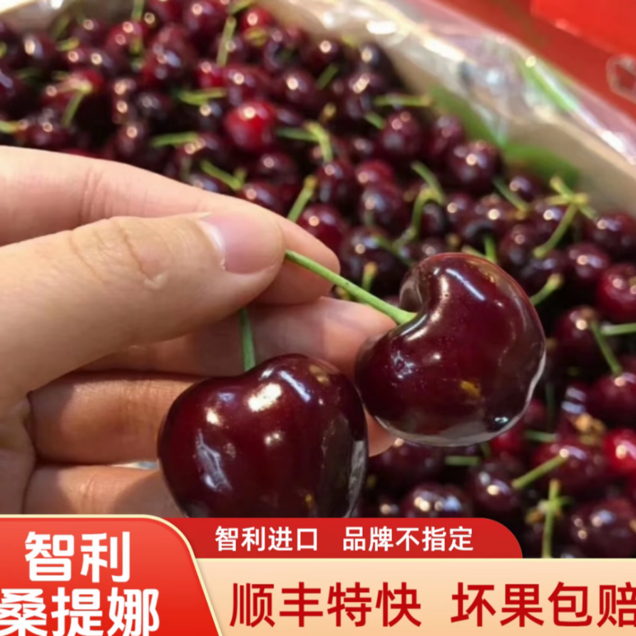 【顺丰京东】智利进口车厘子海运应季水果J-4JD内附果径卡