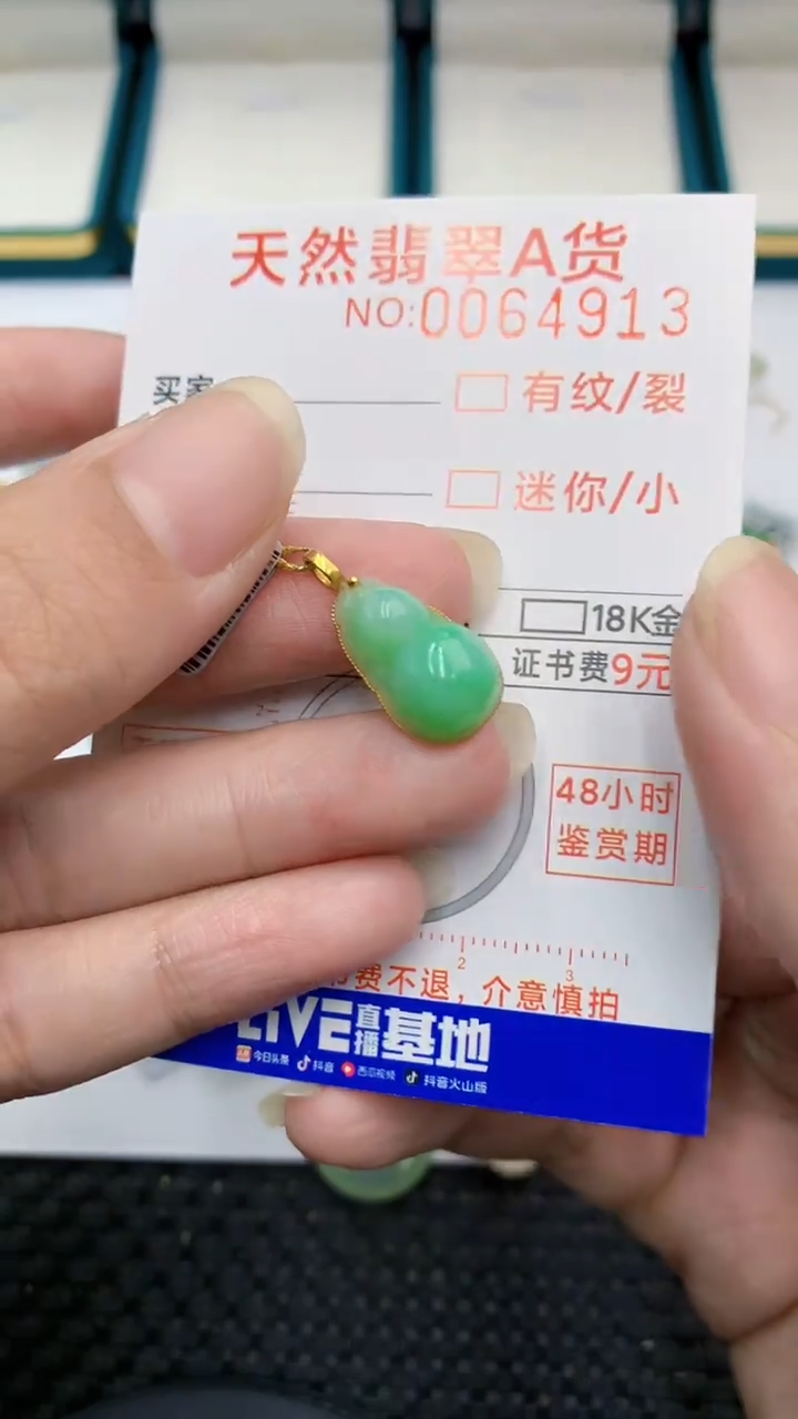 【闪购商品】翡翠颈饰18K金镶嵌            8