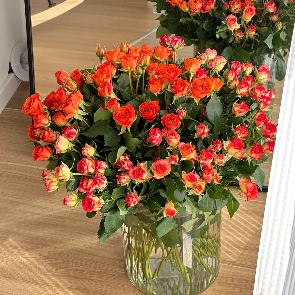 爱丽丝泡泡10支 包邮【任意满2件发顺丰京东】云南鲜花基地直发