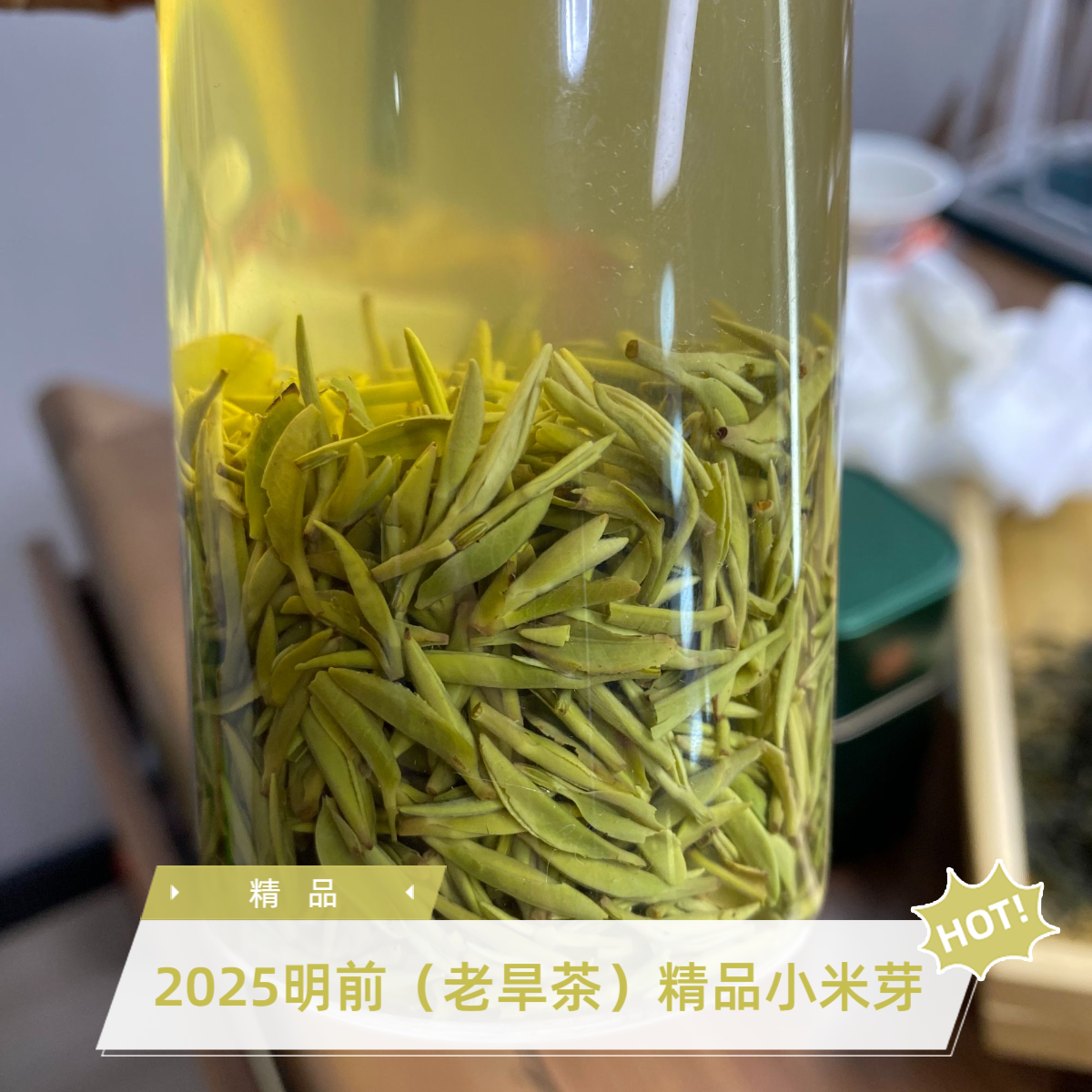 2025明前（老旱茶）精品小米芽 