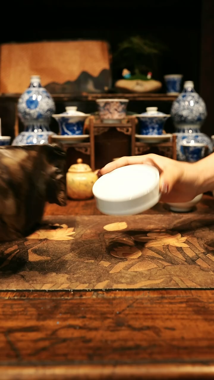 【闪购商品】陶瓷纯白盖置