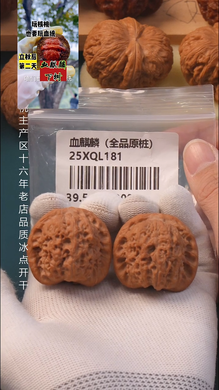 把件文玩核桃39血麒麟【全品】5号