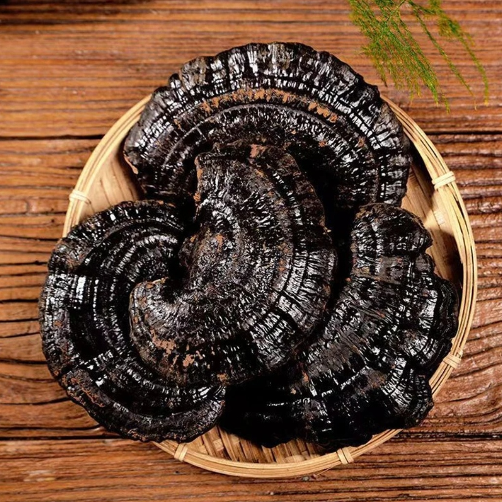 福利！优选特产【黑林芝】250g    老6专属