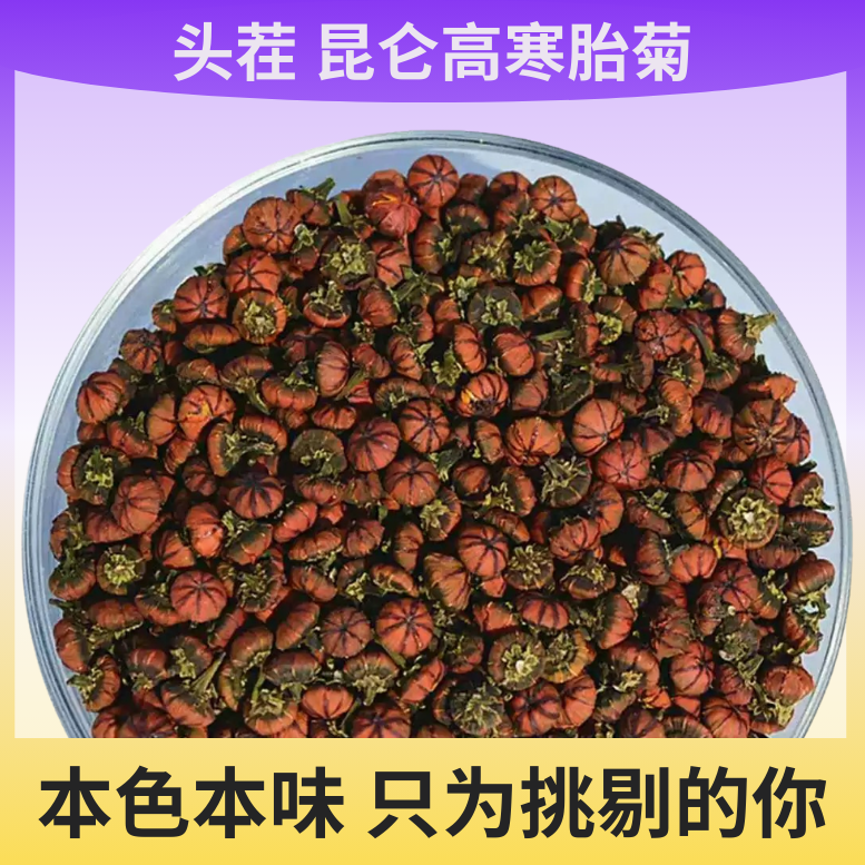 昆仑胎菊特级一等品昆仑天山雪菊正宗新疆昆仑雪菊正品