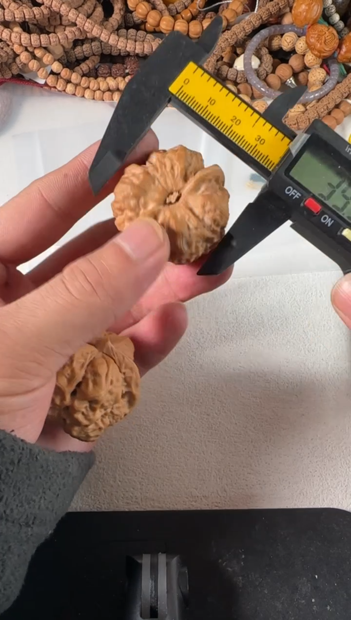 吊坠金刚菩提61号