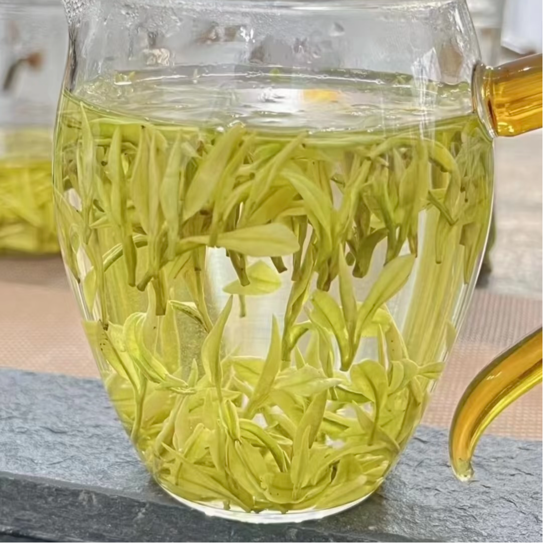 【昆仑煮雪】安吉白茶原产地头采金镶玉奶香特级奶白茶浓香罐装礼盒