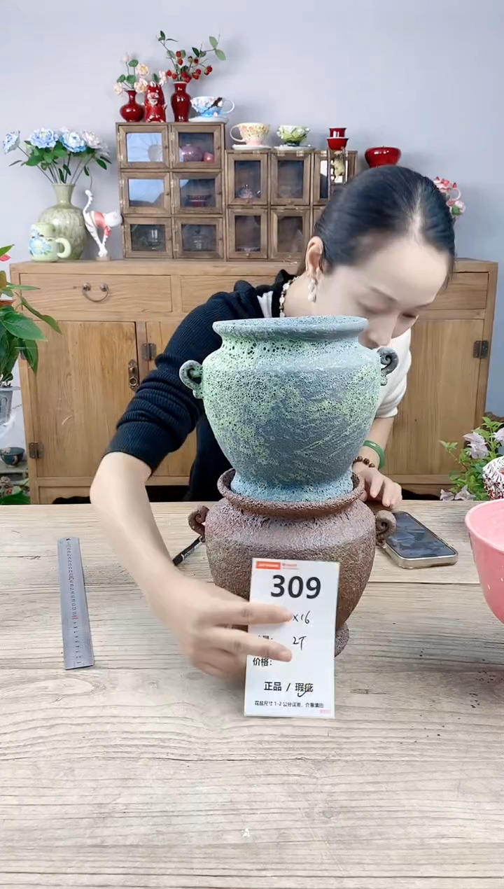 晴好园艺直播编号309