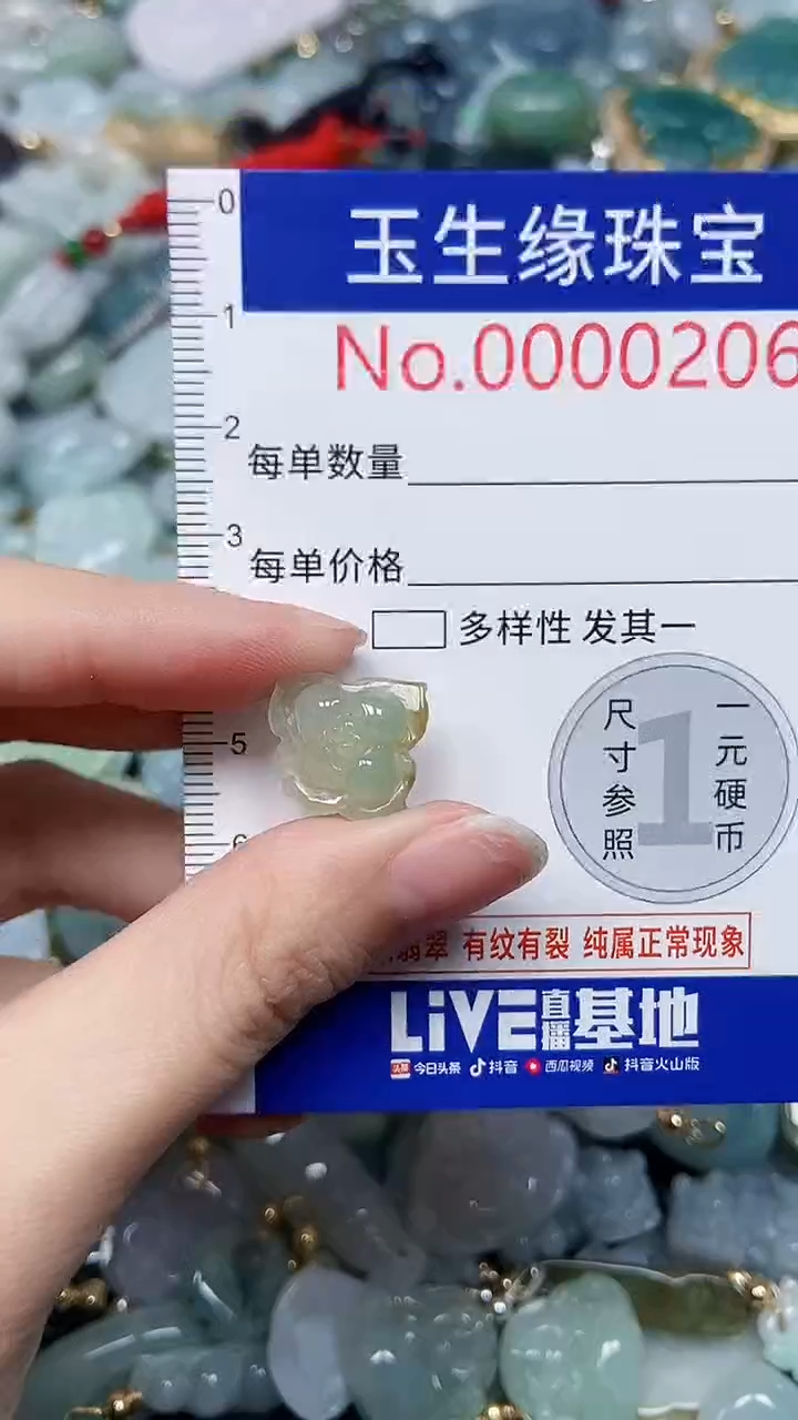 【闪购商品】翡翠颈饰未镶嵌闪购00000206