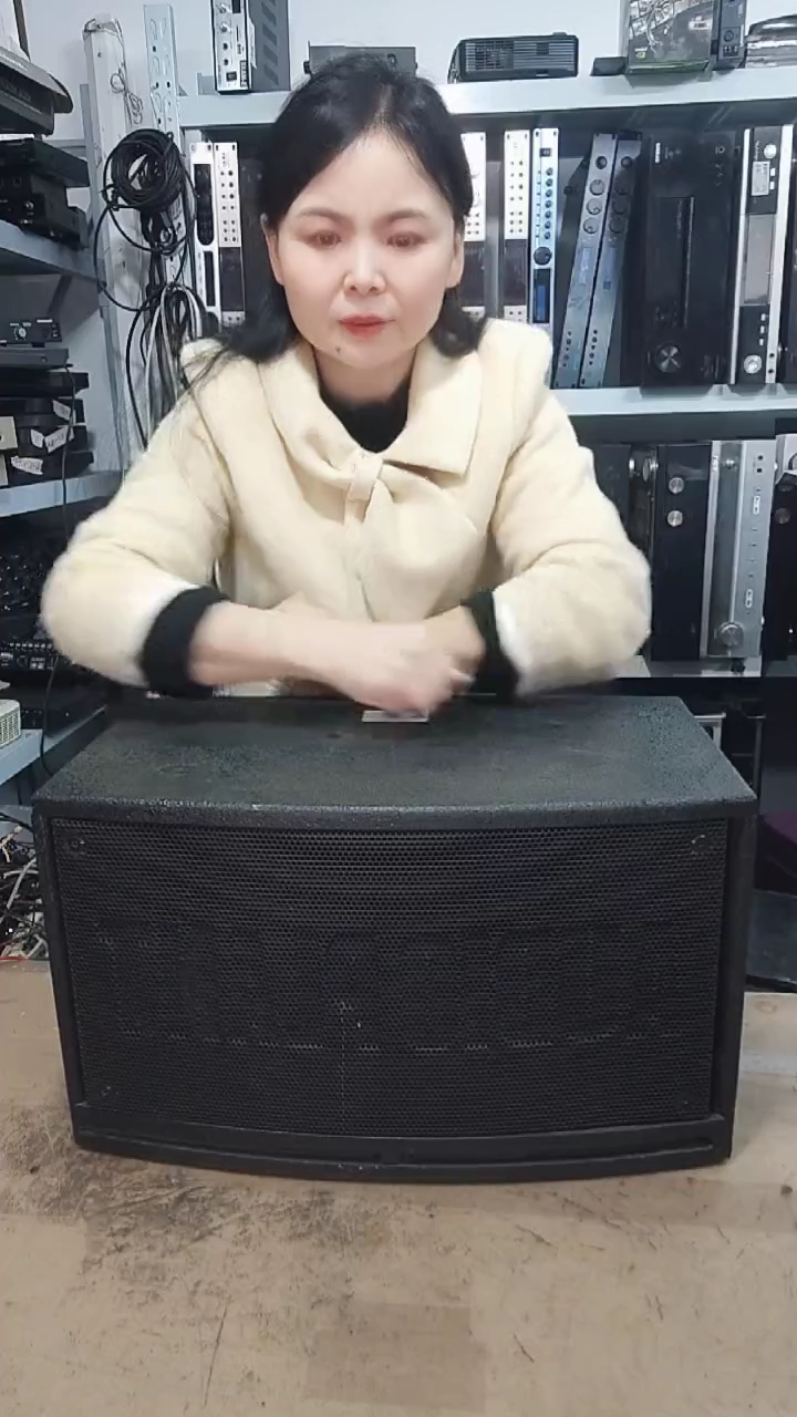 8新八寸音响一对，不包邮费