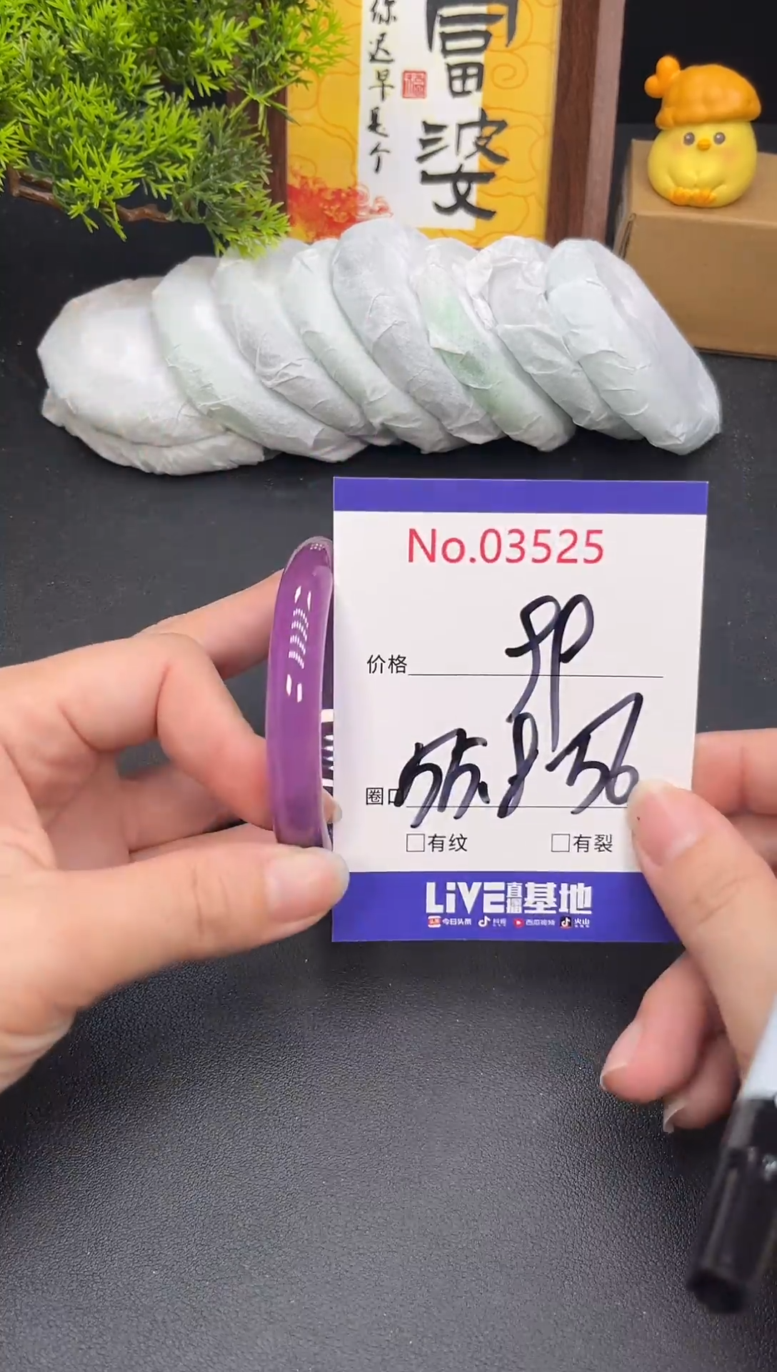 未镶嵌手镯翡翠3525