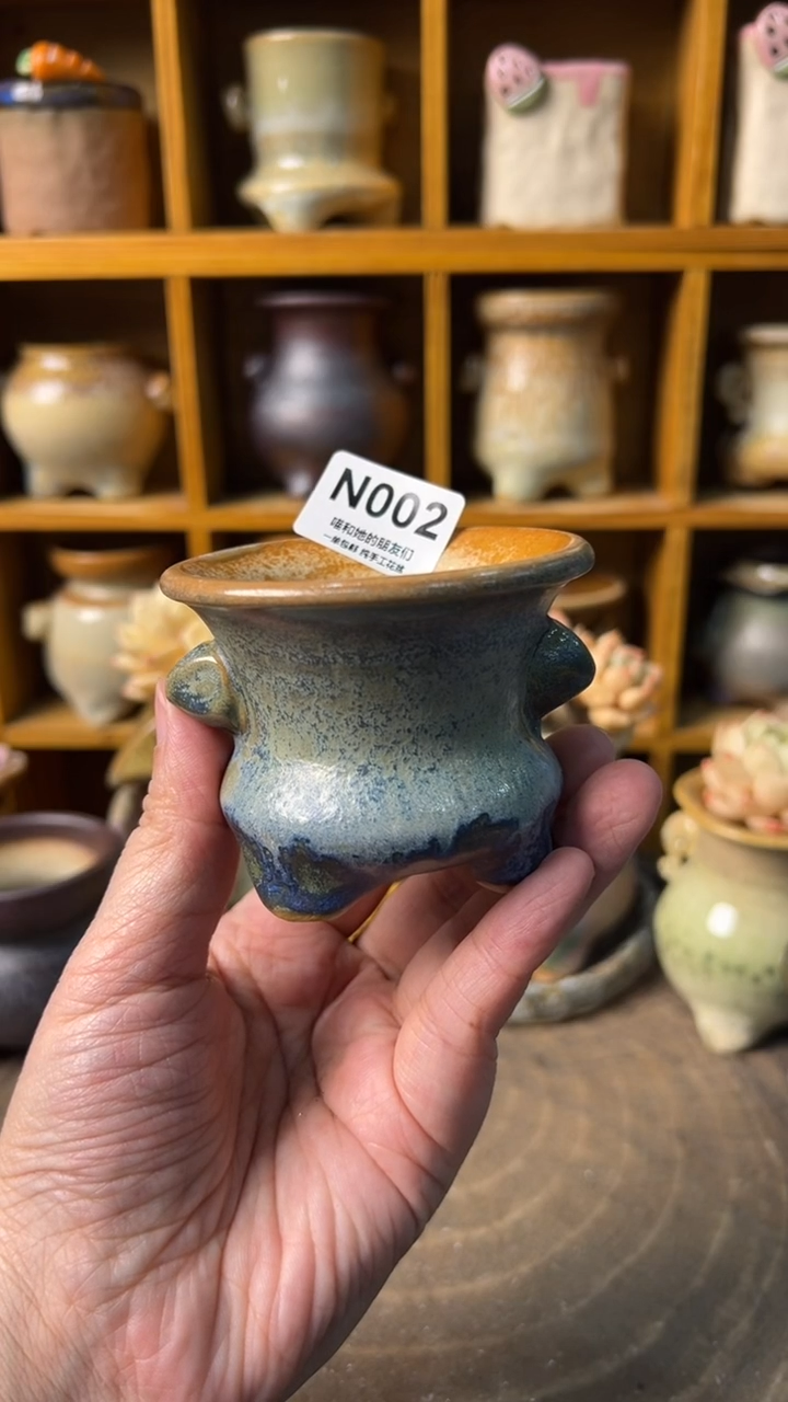 002 内口6【多肉花盆多肉盆】