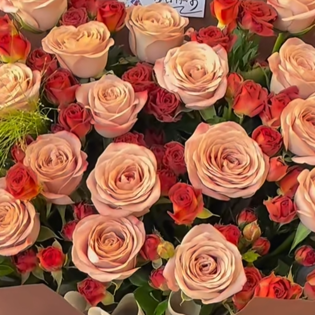 母亲节A3卡布+红玫瑰+巧克力+芭比+向日葵2枝+叶子套餐