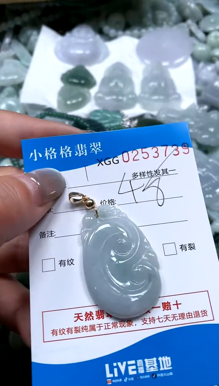 翡翠未镶嵌颈饰闪购商品0253739