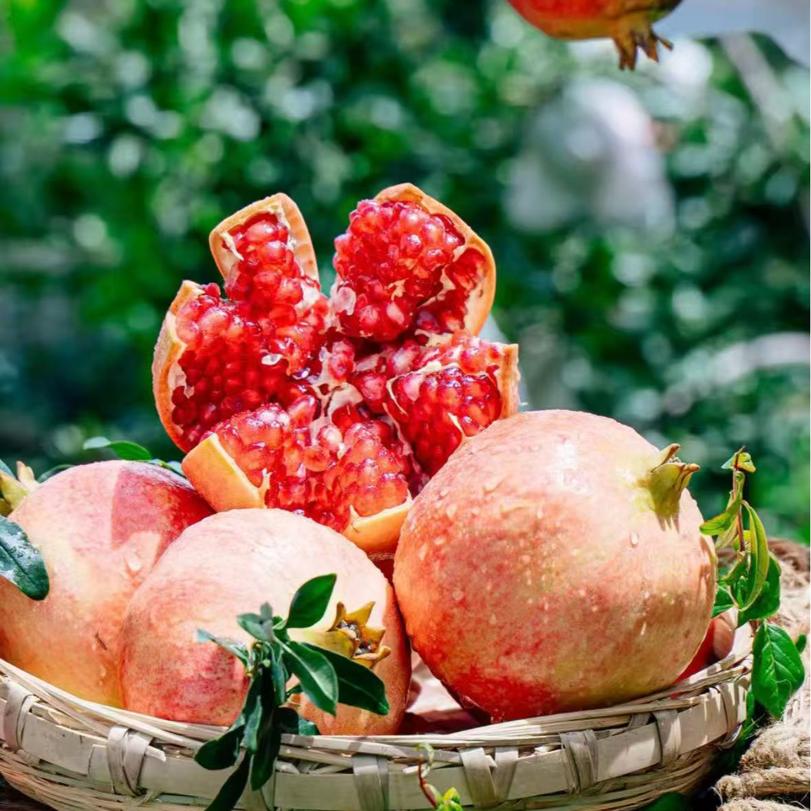 突尼斯软籽石榴新鲜采摘当季水果鲜甜多汁按斤发货
