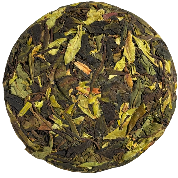 【锅底塘-野生白茶】2021年野生古树白茶饼100克/饼