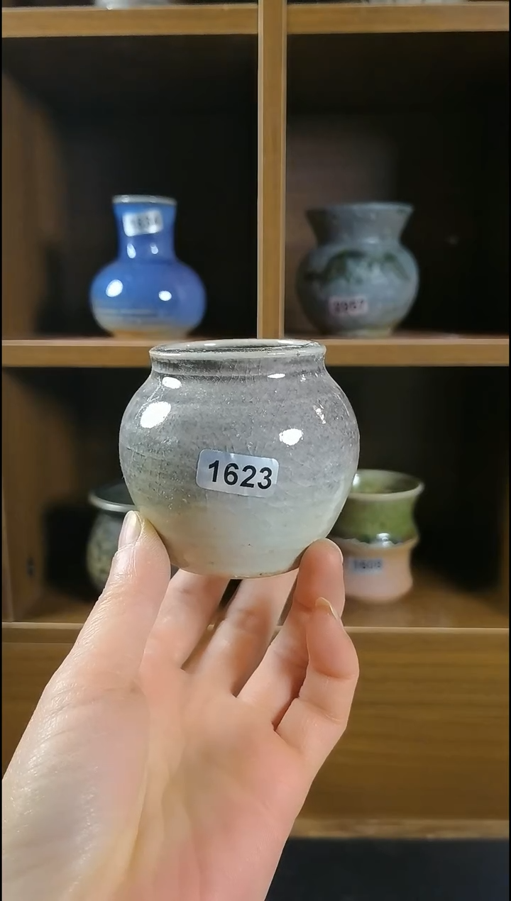 【闪购商品】红陶1623