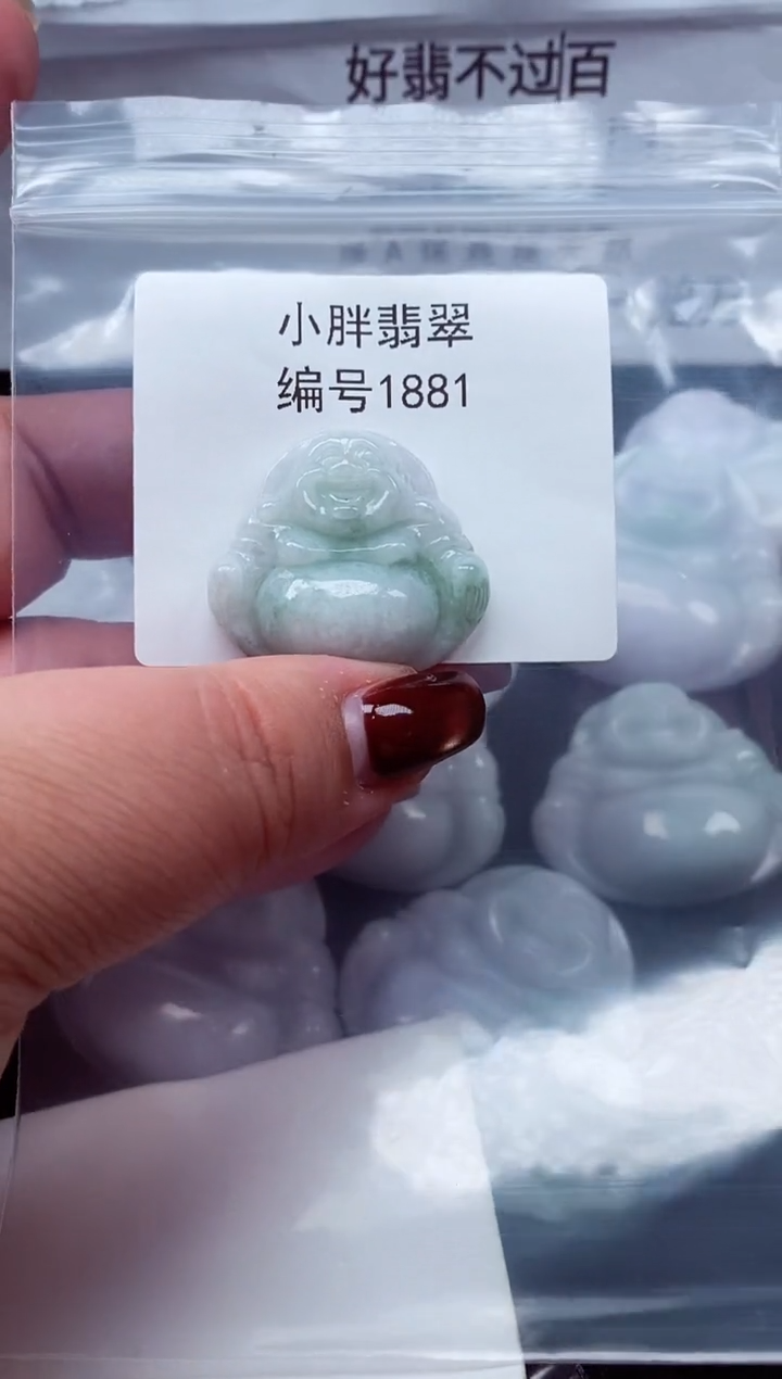 颈饰未镶嵌翡翠缅甸天然A货翡翠1881