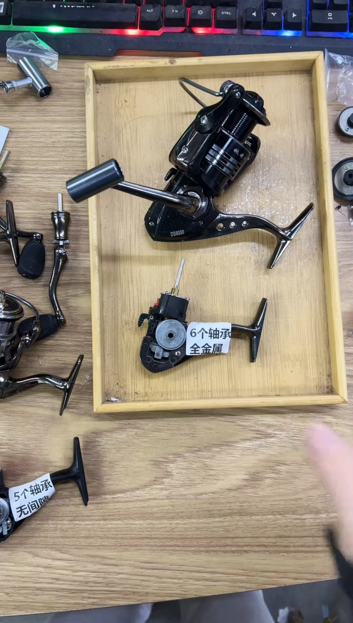 ds型号6000泰诺精工