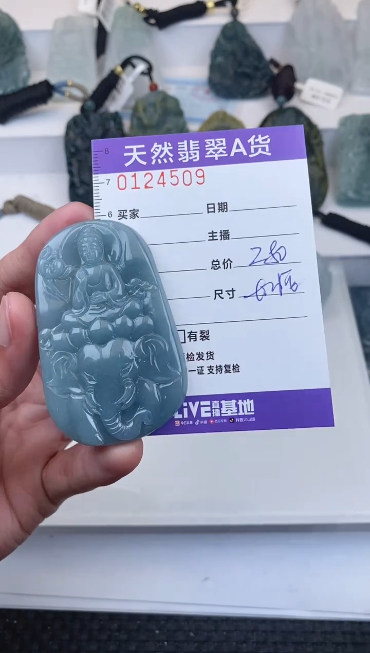 【闪购商品】翡翠颈饰未镶嵌          509