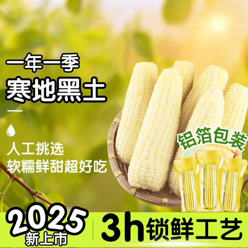 【整箱8-9斤】东北25年头茬铝箔白糯玉米300-380g大棒12棒＇试吃4根