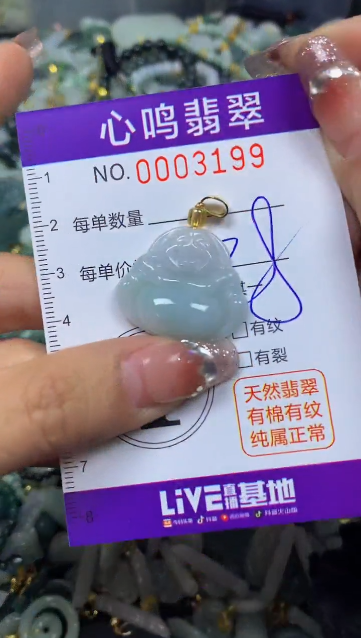 【闪购商品】翡翠颈饰未镶嵌闪购003199