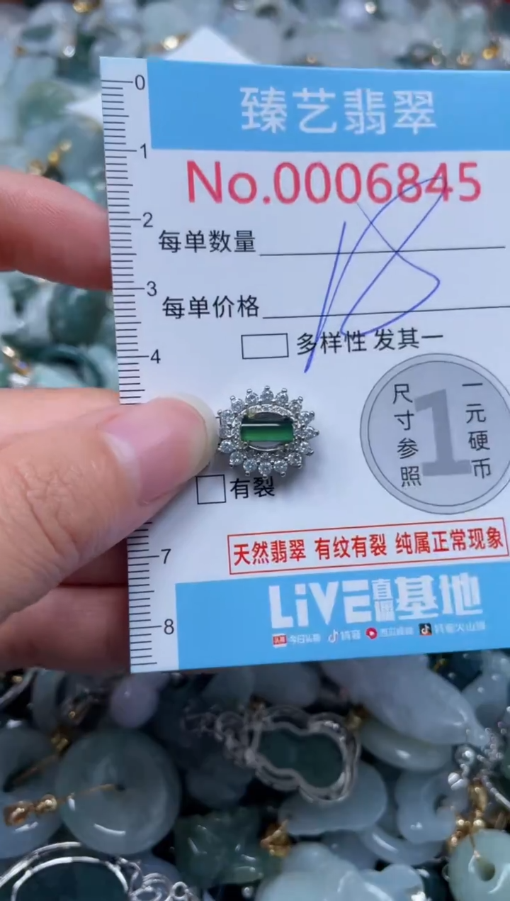 颈饰未镶嵌翡翠6845