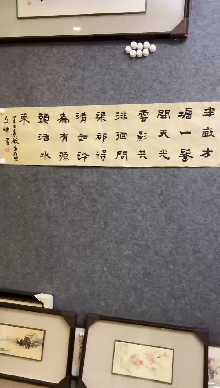 【闪购商品】书法WWQ软片 02 半亩方塘