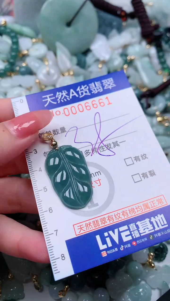 【闪购商品】翡翠颈饰未镶嵌00006661